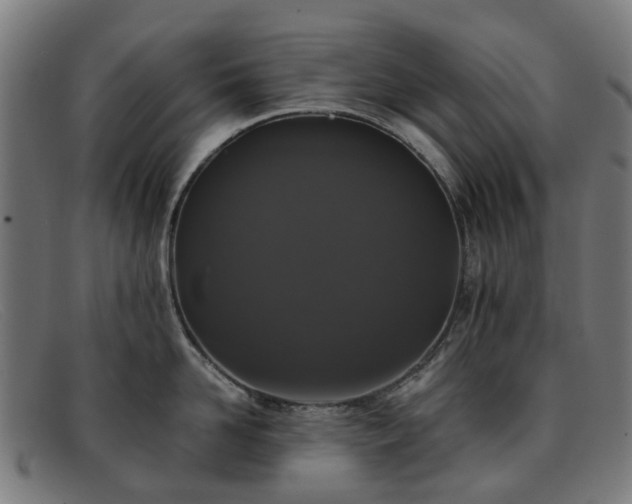 X0000091880958200709121411