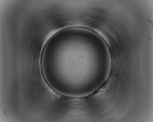 X0000091880959200709121411