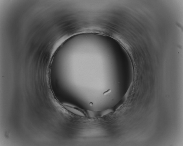 X0000091880960200709121411