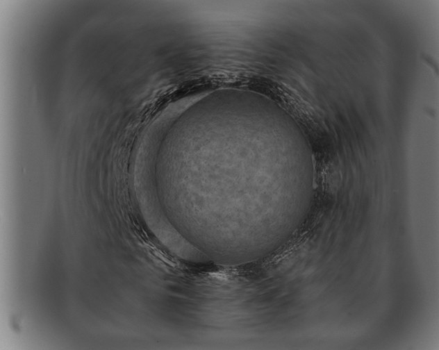 X0000091880961200709121410