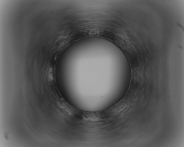 X0000091880962200709121410
