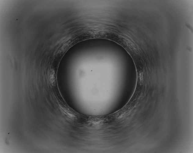 X0000091880963200709121410