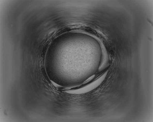 X0000091880965200709121410