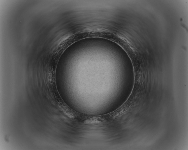 X0000091880966200709121410