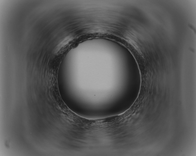 X0000091880967200709121410