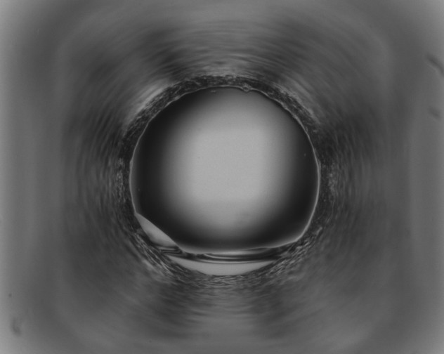 X0000091880968200709121410