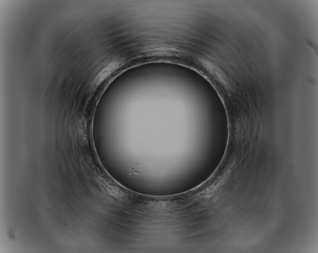 X0000091880970200709121410