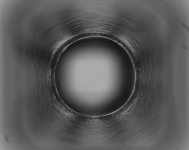 X0000091880971200709121410