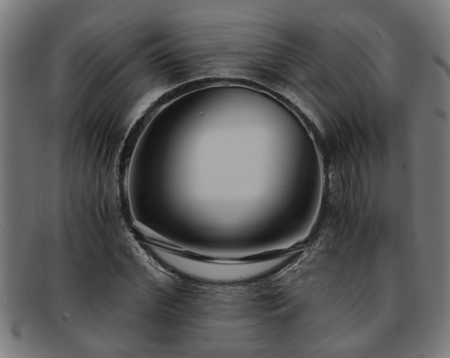 X0000091880972200709121410