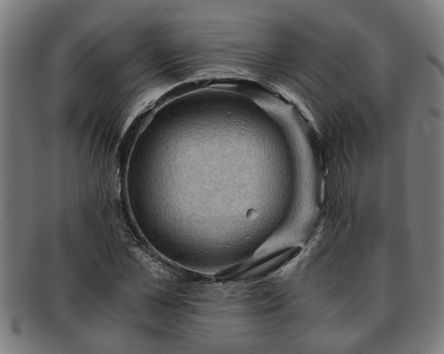 X0000091880973200709121410