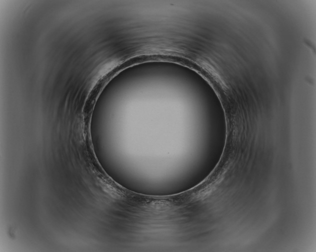 X0000091880974200709121410