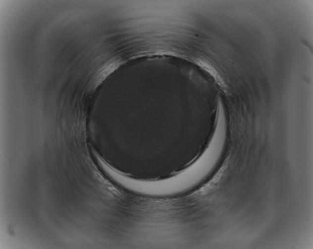 X0000091880977200709121410