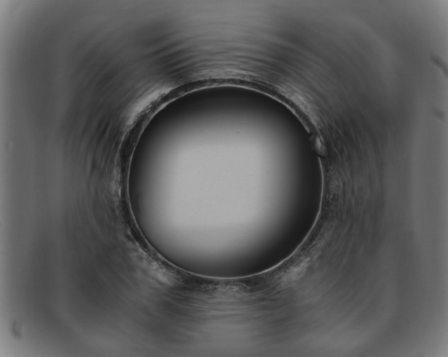X0000091880979200709121410