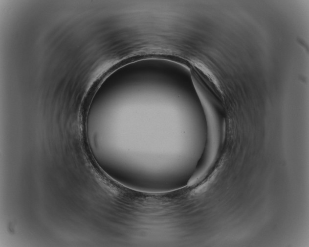 X0000091880981200709121410