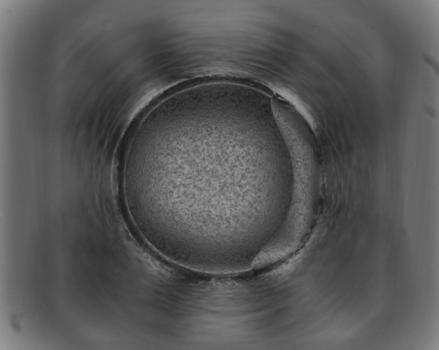 X0000091880983200709121410