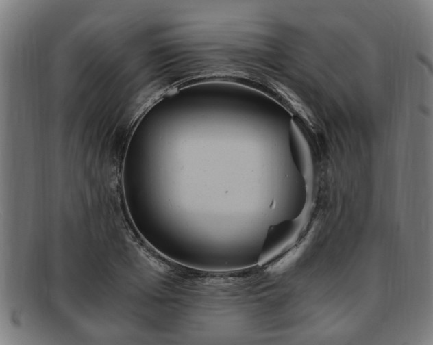 X0000091880985200709121410