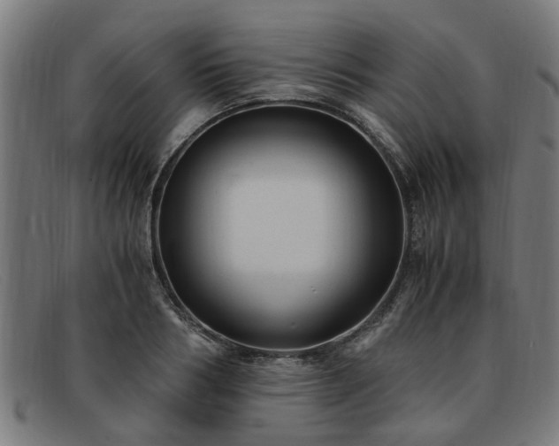 X0000091880986200709121410