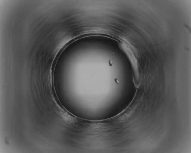 X0000091880988200709121410