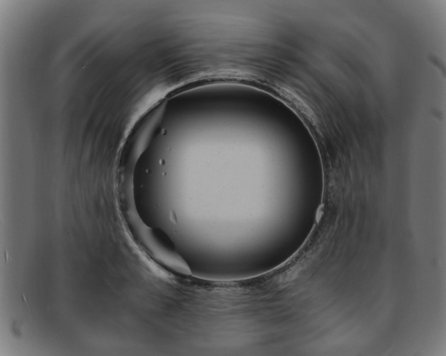 X0000091880989200709121410