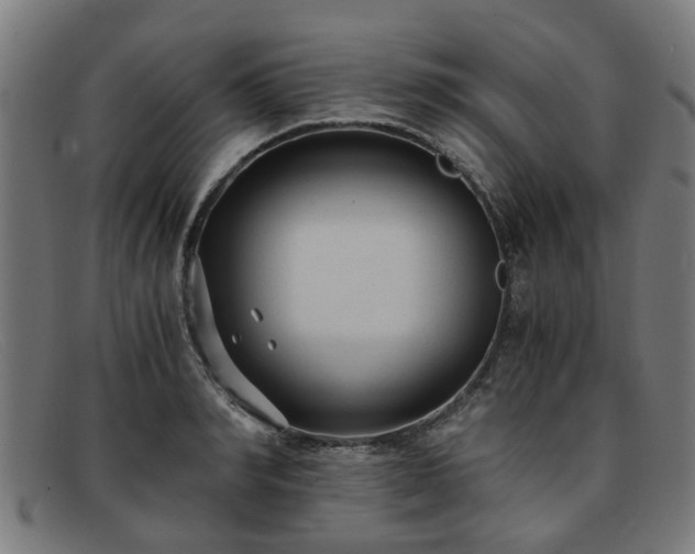 X0000091880990200709121410