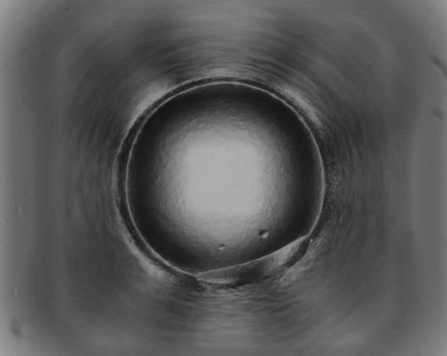 X0000091880991200709121410