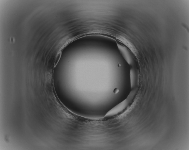 X0000091880993200709121410