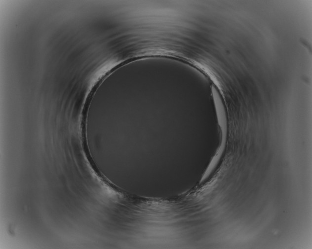 X0000091880995200709121410