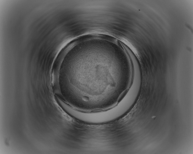 X0000091880996200709121410