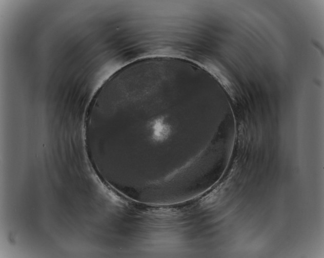 X0000091880998200709121410