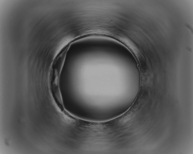 X0000091880999200709121410