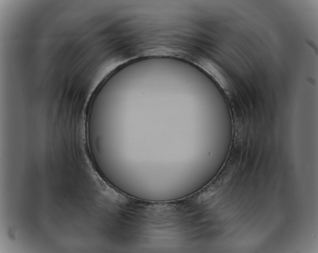 X0000091881000200709121410