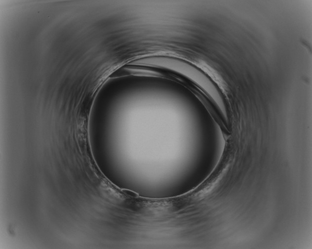 X0000091881001200709121410