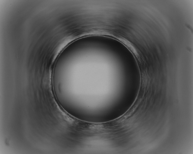 X0000091881006200709121410