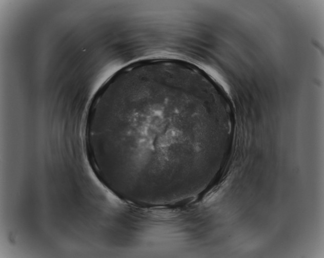 X0000091881007200709121410