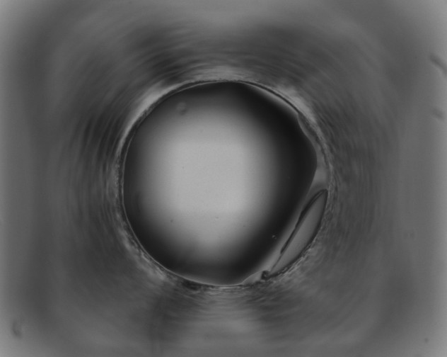 X0000091881008200709121410
