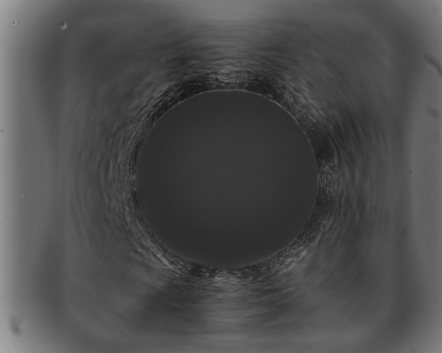 X0000091881009200709121409