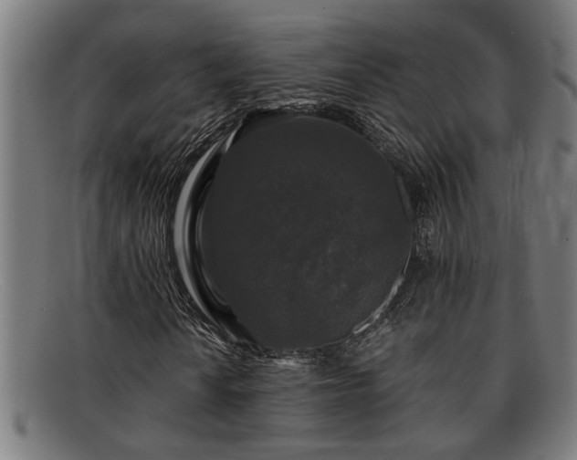 X0000091881010200709121409