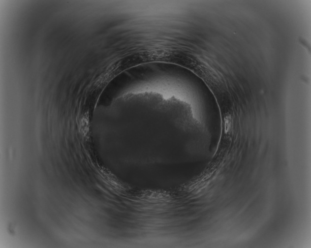 X0000091881011200709121409
