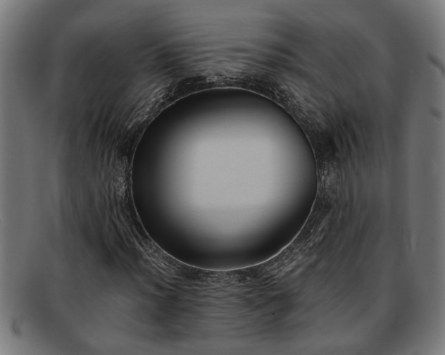 X0000091881012200709121409