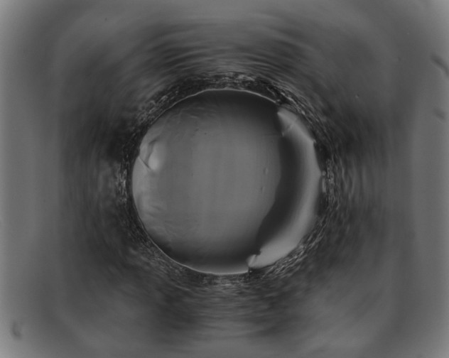 X0000091881013200709121409