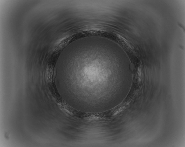 X0000091881014200709121409