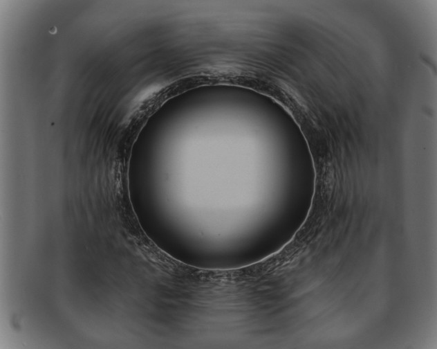 X0000091881016200709121409