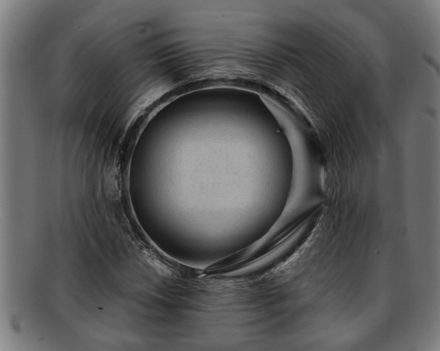 X0000091881018200709121409