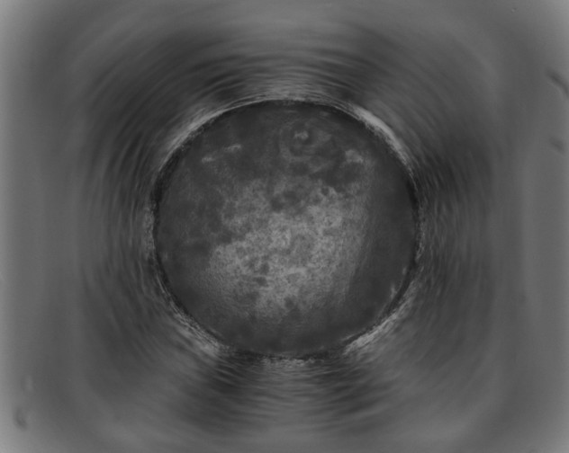 X0000091881019200709121409