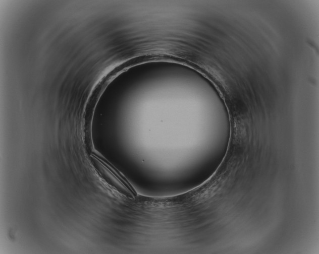 X0000091881020200709121409