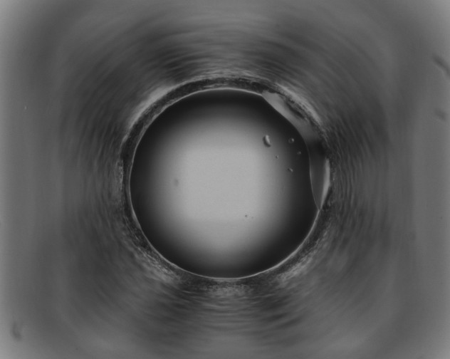 X0000091881021200709121409