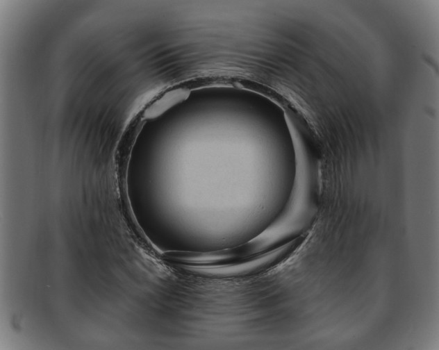 X0000091881022200709121409
