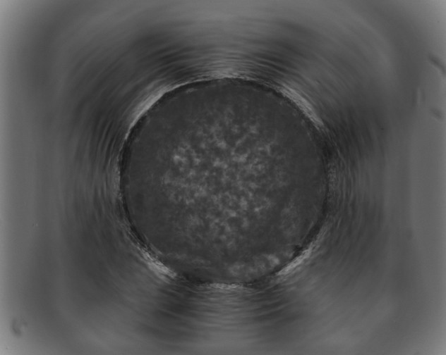 X0000091881023200709121409