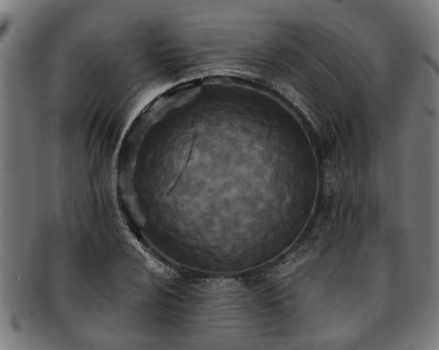 X0000091881024200709121409