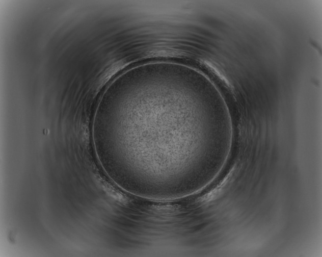 X0000091881025200709121409